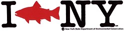 ifishny.jpg